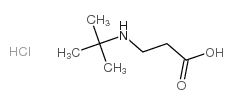 3-(tert-butylamino)propanoic acid,hydrochloride Structure
