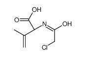 (2R)-2-[(2-chloroacetyl)amino]-3-methylbut-3-enoic acid Structure