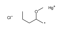 chloro(2-methoxypentyl)mercury结构式