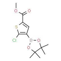 Methyl 5-chloro-4-(4,4,5,5-tetramethyl-1,3,2-dioxaborolan-2-yl)thiophene-2-carboxylate Structure