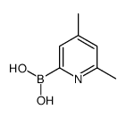 4,6-Dimethylpyridine-2-boronic acid Structure