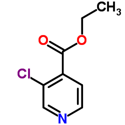 3-氯-4-吡啶甲酸乙酯图片