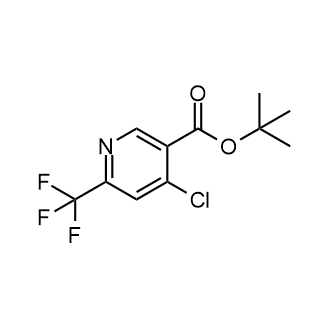 4-氯-6-(三氟甲基)烟酸叔丁酯结构式