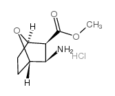 methyl 3-amino-7-oxabicyclo[2.2.1]heptane-2-carboxylate,hydrochloride Structure