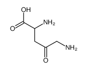 2,5-diamino-4-oxopentanoic acid Structure