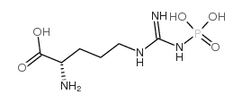 N-磷酸- L -精氨酸锂盐水合物结构式