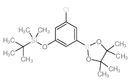 3-氯-5-t-丁基二甲基甲硅烷基氧基苯硼酸频那醇酯图片