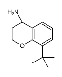 (S)-8-(tert-Butyl)chroman-4-amine结构式