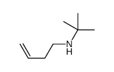 N-but-3-enyl-2-methylpropan-2-amine结构式
