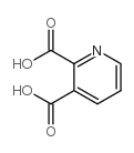 2,3-Pyridinedicarboxylic acid Structure