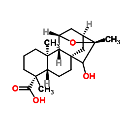 ent-11,16-Epoxy-15-hydroxykauran-19-oic acid Structure