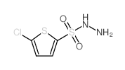 5-氯噻吩-2-磺酰肼结构式