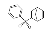 5-(phenylsulfonyl)bicyclo[2.2.1]hept-2-ene结构式