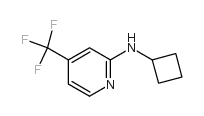 N-cyclobutyl-4-(trifluoromethyl)pyridin-2-amine Structure