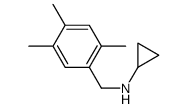 N-(2,4,5-Trimethylbenzyl)cyclopropanamine结构式