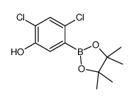 2,4-dichloro-5-(4,4,5,5-tetramethyl-1,3,2-dioxaborolan-2-yl)phenol picture