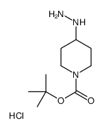 4-肼基哌啶-1-羧酸叔丁酯盐酸盐结构式