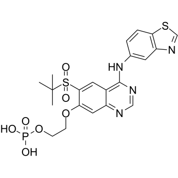 GSK2983559 free acid structure