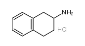 1,2,3,4-四氢萘-2-胺盐酸盐图片