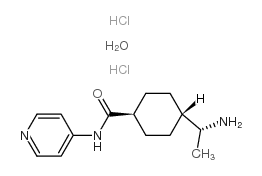 反-4-[(1R)-1-氨基乙基]-N-4-吡啶-环己甲酰胺盐酸盐一水合物结构式