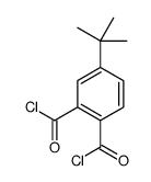 4-tert-butylbenzene-1,2-dicarbonyl chloride Structure