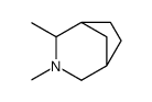 2,3-Dimethyl-3-azabicyclo[3.2.1]octane结构式