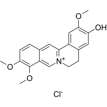 盐酸药根碱结构式