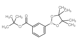 3-(4,4,5,5-四甲基-1,3,2-二氧硼戊烷-2-基)苯甲酸叔丁酯图片
