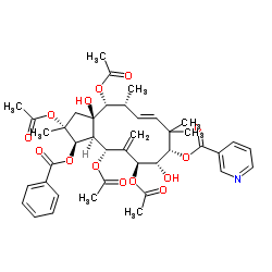 2,5,7,14-四乙酰氧基-3-苯甲酰基氧基-8,15-二羟基-9-烟酰氧基-6(17),11E-麻风树属二烯结构式
