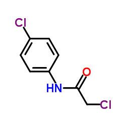 N-(4-氯苯基)-2-氯乙酰胺结构式