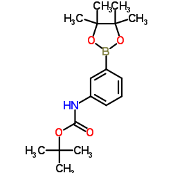 3-(BOC-氨基)苯基硼酸频哪醇酯结构式