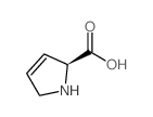 3,4-脱氢-L-脯氨酸结构式