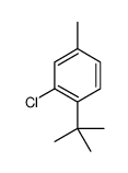 1-tert-butyl-2-chloro-4-methylbenzene结构式