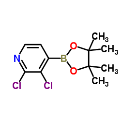 2,3-Dichloropyridine-4-boronic acid pinacol ester structure