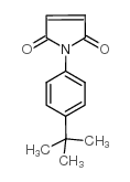 1-(4-叔丁基苯基)-吡咯-2,5-二酮结构式