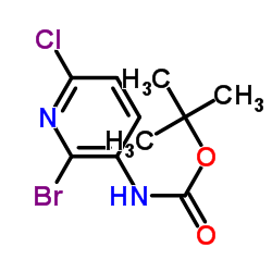 (2-溴-6-氯吡啶-3-基)氨基甲酸叔丁酯结构式