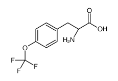 (R)-2-氨基-3-(4-(三氟甲氧基)苯基)丙酸结构式