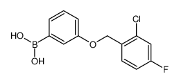 3-(2-氯-4-氟苯基甲氧基)苯硼酸结构式
