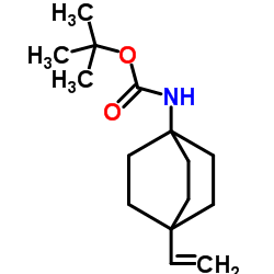 2-Methyl-2-propanyl (4-vinylbicyclo[2.2.2]oct-1-yl)carbamate结构式