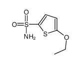 2-Thiophenesulfonamide,5-ethoxy-(9CI)结构式