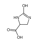 2-氧代咪唑烷-4-羧酸结构式