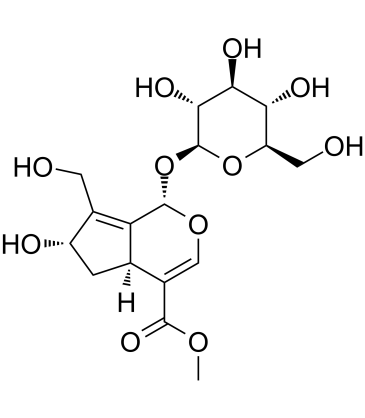 10-Hydroxy majoroside Structure