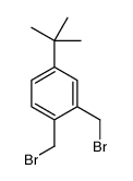 1,2-bis(bromomethyl)-4-tert-butylbenzene Structure