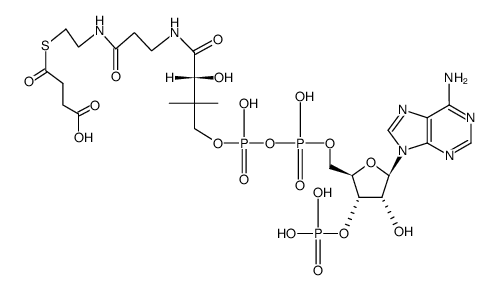 succinyl-CoA Structure
