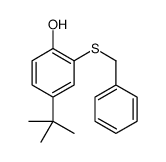 2-benzylsulfanyl-4-tert-butylphenol结构式