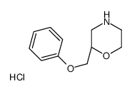 (2R)-2-(phenoxymethyl)morpholine,hydrochloride结构式