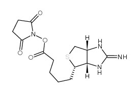 2,5-Pyrrolidinedione,1-[[5-[(3aS,4S,6aR)-2-amino-3a,4,6,6a-tetrahydro-1H-thieno[3,4-d]imidazol-4-yl]-1-oxopentyl]oxy]-,hydrobromide (1:1)结构式