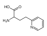 2-AMINO-4-PYRIDIN-2-YL-BUTYRIC ACID Structure
