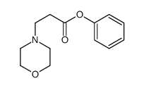 phenyl 3-morpholin-4-ylpropanoate结构式
