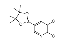 5,6-二氯吡啶-3-硼酸频那醇酯结构式